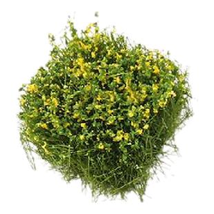 沙盘模型材料仿真小草簇微缩绿植园林造景杂草植被花草造景