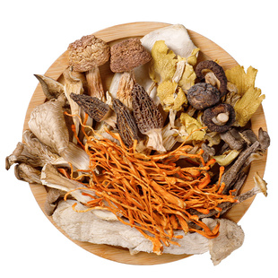 云南松茸菌菇汤料包干货特产炖鸡炖汤菇类煲汤食材七珍七彩菌汤包