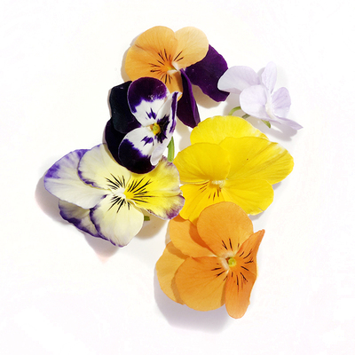 新鲜50朵/盒三色花酒店摆盘装饰