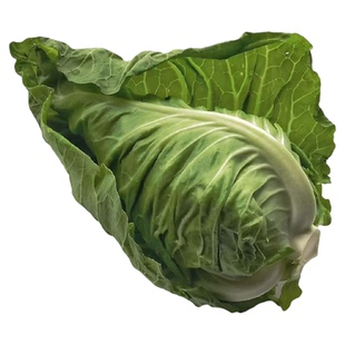 牛心甘蓝苗甘蓝种子四季包菜包心菜卷心菜大头菜蔬菜苗子高产耐寒