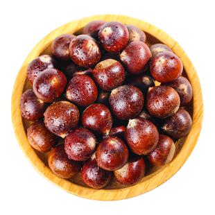 现摘新鲜建瓯锥栗福建野生栗子高山油栗小毛栗粉糯甜圆栗子尖板栗