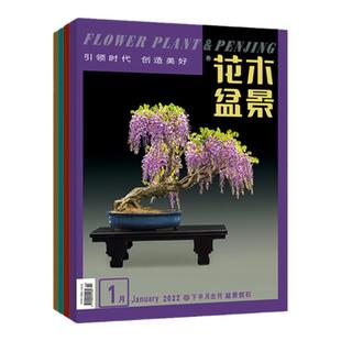 花木盆景杂志2026 盆景赏石 专业期刊 深度挖掘花卉园林行业风采和文化底蕴,表现自然界花草树木和花艺