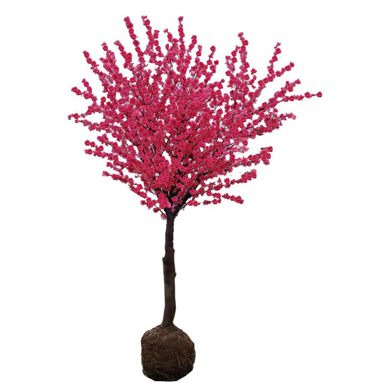 红梅花树苗盆栽老桩庭院耐寒冬季开花卉植物浓香原生高杆骨里红梅