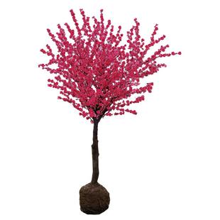 红梅花树苗盆栽老桩庭院耐寒冬季开花卉植物浓香原生高杆骨里红梅