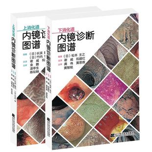 正版包邮 上消化道内镜诊断图谱+下消化道内镜诊断图谱2册 消化道内镜操作注意事项中初级内镜医生参考书 辽宁科学技术出版社