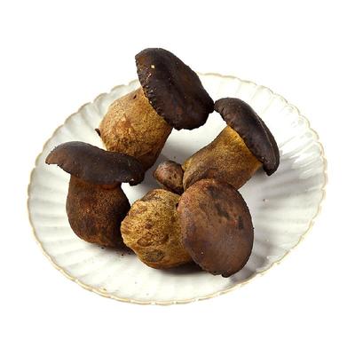 玲珑岭云南新鲜黑牛肝菌食用菌