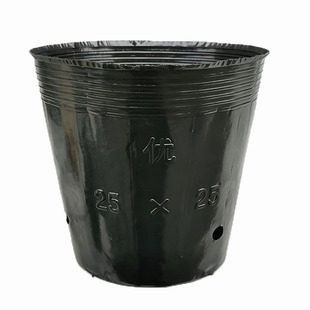 营养钵加厚防老化营养杯育苗杯育苗盆塑料黑色育秧盆种植袋育苗袋