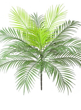 仿真大束蕨叶假植物凤尾蕨波斯蕨