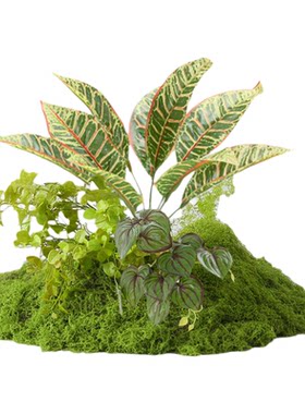 【品质之选]】高端仿真绿植摆件