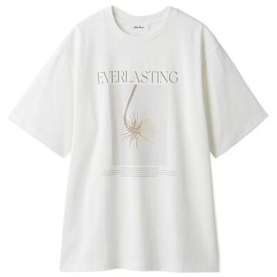 Mila Owen春夏休闲百搭圆领字母短袖印花T恤09WCT252241