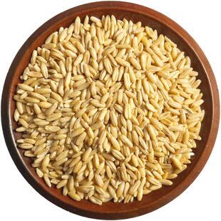 燕麦米新米 5斤农家自种燕麦仁全胚芽燕麦五谷杂粮糙米新燕麦100g