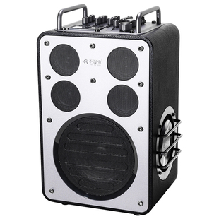 不见不散流浪者D8户外K歌直播音箱话筒麦克风一体广场舞专用音响