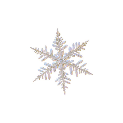 tlp镂空心情切片系列雪花贴纸