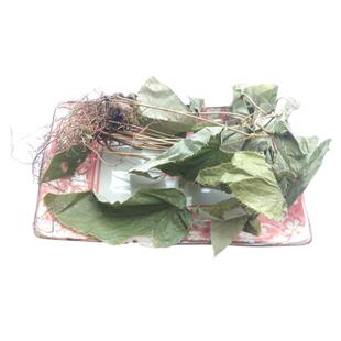 贵州农家新晒淫羊藿 中药材仙灵脾铁打杵三枝九叶草干货全株500克