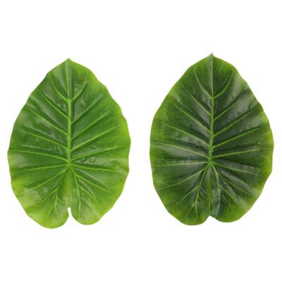 滴水观音过胶塑料绿植配件叶子