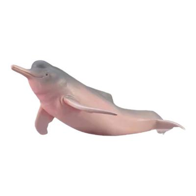 88994亚马逊河豚动物模型