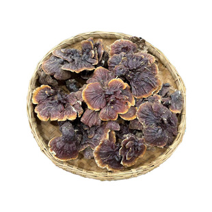 西藏野生灵芝正品野生赤芝干货西藏灵芝野生整枝高海拔白心白肉