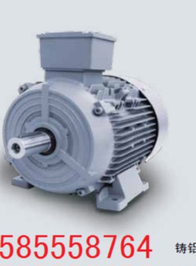 议价进口西门子电机1LG4220-4AA60-Z 4AA10-Z 37KW4P级极B3卧式安