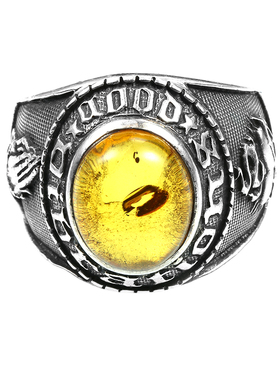 镶嵌祈祷之手925银大宝石戒指