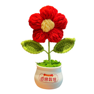 文案定制礼物小红花手工编织创意礼品可爱毛线花束送老师桌面摆件