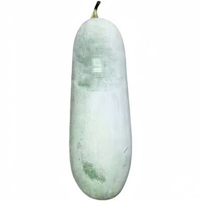 台湾粉皮小冬瓜秧苗早熟迷你