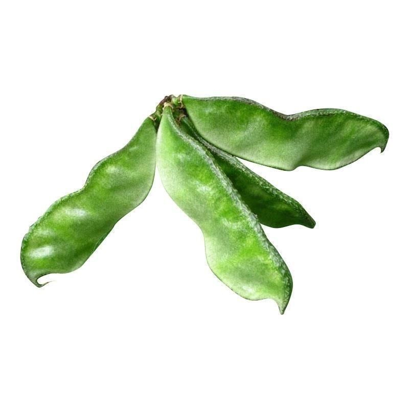 新鲜刀豆宽豆角扁豆角