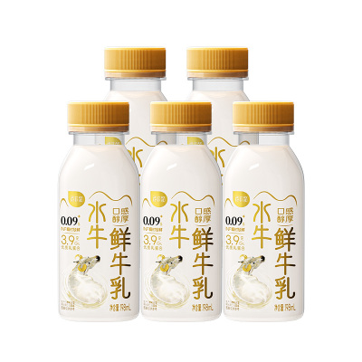 【5瓶】百菲酪低温鲜水牛乳