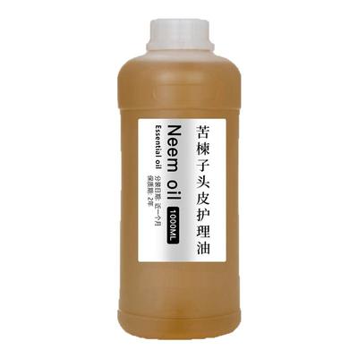 苦楝籽头皮预洗精油500ml