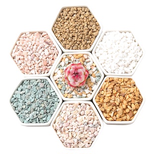 治家森活 七彩石多肉植物花卉绿植颗粒铺面石肉肉防虫垫底铺面石