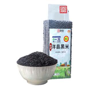 有机洋县黑米新米2025五谷杂粮优质糙米粥米孕妇陕西汉中袋装500g