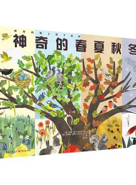 神奇的春夏秋冬（打开奇妙的创意翻页，发现地球四季之美！荣登美国青少年图书委员会2022国际优秀童书榜）儿童绘本文学课外阅读书