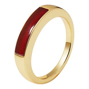 [新品]CIGALONG龙梓嘉上上签红玛瑙项链耳钉戒指中式珠宝新年礼物