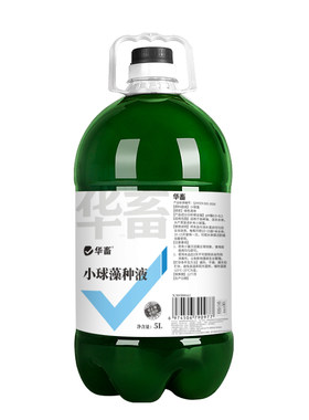 小球藻藻种5L装培藻水产养殖专用