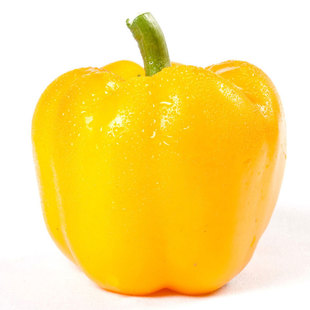 彩色黄色甜椒苗辣椒种籽种子孑阳台四季盆栽灯笼椒蔬菜种苗籽种