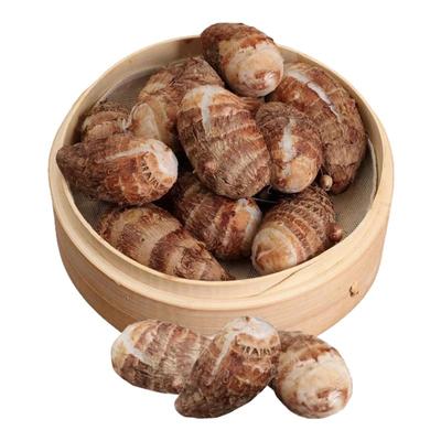 新鲜现挖软糯建昌红香芋芋艿常州