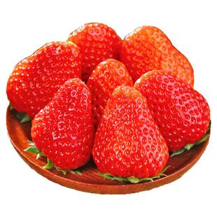 现摘新鲜奶油露天草莓大凉山红颜99孕妇当季水果礼盒非丹东顺丰