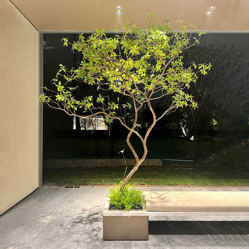 仿真马醉木室内植物造景装饰树仿生绿植大型假树简约景观橱窗摆件