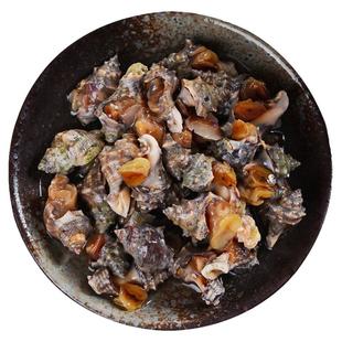 醉辣螺即食罐装嵊泗原汁辣螺酱宁波特产小海鲜老底子手工腌制螺肉