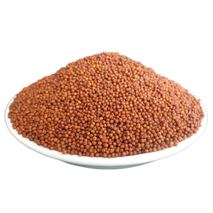 广西特产鸭脚粟龙爪粟米粉拳头粟米粒婴儿枕头红黄小米粥五谷杂粮