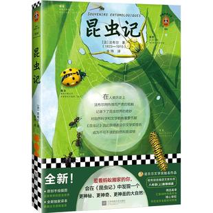 《昆虫记》法布尔著 八年级上推荐阅读书单 全新插画典藏版 爱看蚂蚁搬家的你会从中发现一个更神奇更神秘更神圣的大自然 读客
