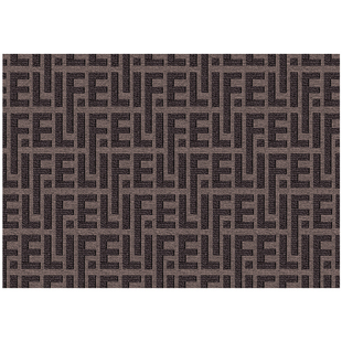 2025新款入户门地垫大门口进门防滑门垫玄关脚垫可裁剪家用地毯