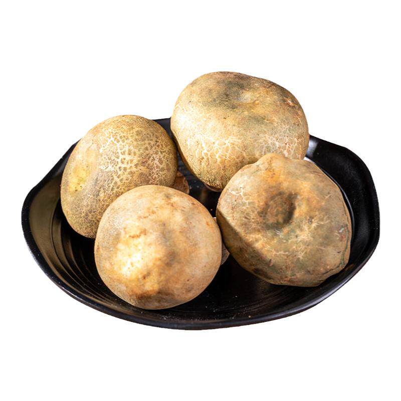 新鲜野生青头菌500g云南当季