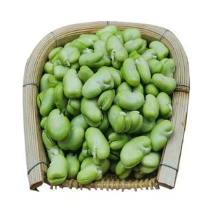 云南高原绿心去壳新鲜蚕豆瓣农家蔬菜生嫩青罗汉豆胡豆仁兰花豆米