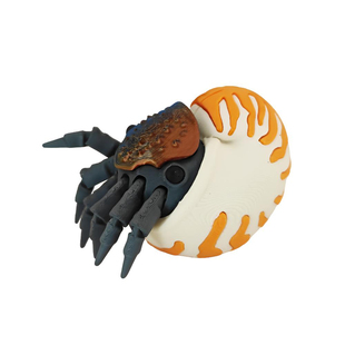 3D打印鹦鹉螺模型玩具螺旋仿真海洋软体动物手办摆件玩偶认知礼物