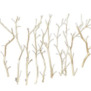 干树枝装饰干枝干花艺术枯枝枯木树天然去皮本色树枝壁挂衣架摆件