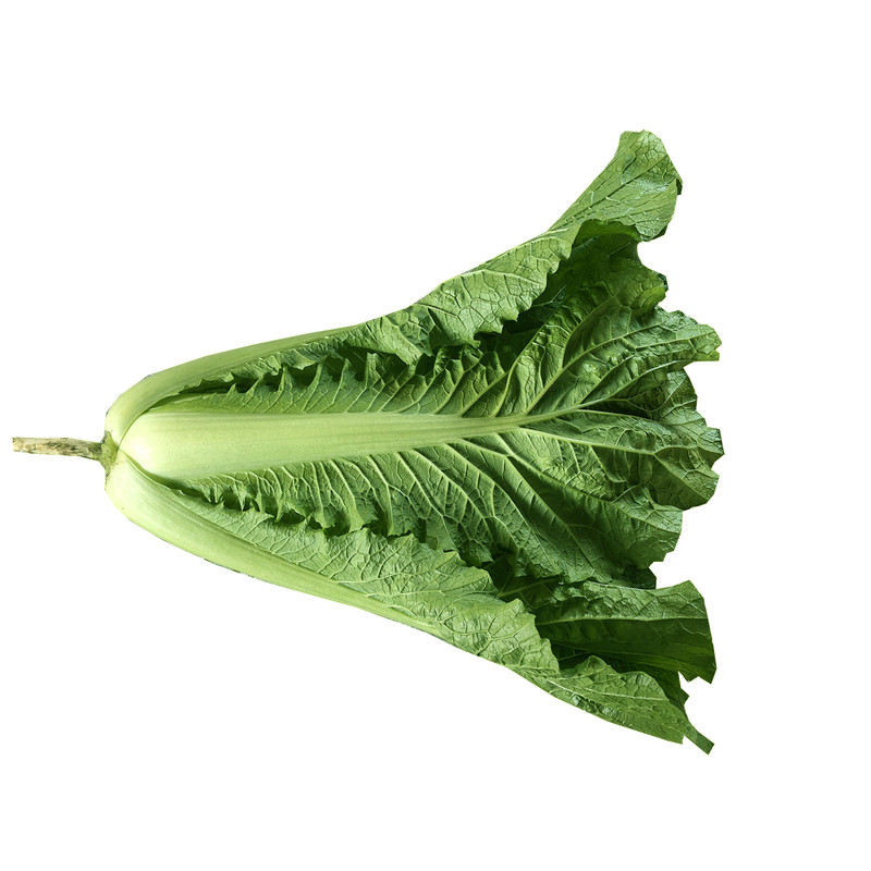 东北大白菜整棵带绿叶新鲜打饭包白菜叶蘸酱吃凉拌小白菜整颗大地