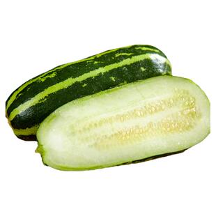 花皮菜瓜种子绿皮脆瓜籽种酥瓜咸菜酱瓜脆瓜早熟烧瓜青皮菜瓜种籽
