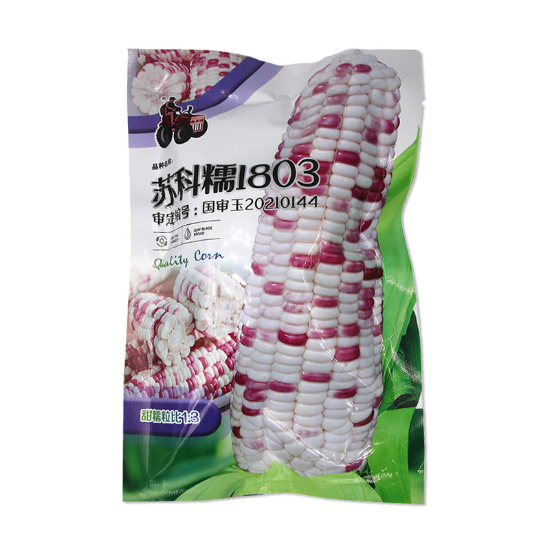 拖车头苏科糯1803玉米种子