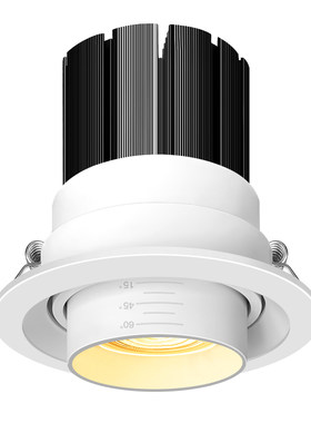 led嵌入式可调焦三色变光天花灯