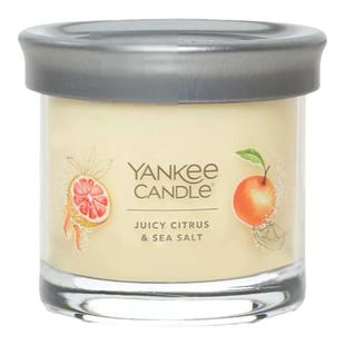 扬杨洋基yankee雅致手绘小瓶122g香氛精致大豆蜡基小蜡烛节日送礼